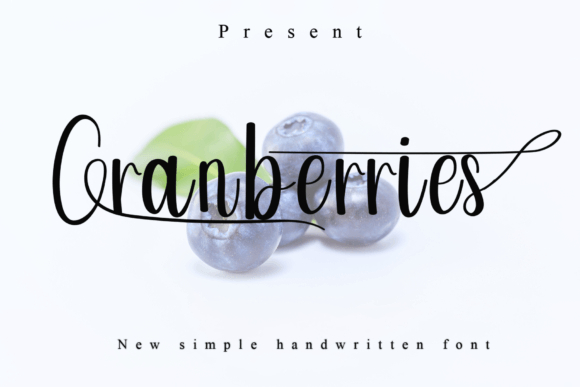 Cranberries Font: The Playful Typeface for Small Business Branding