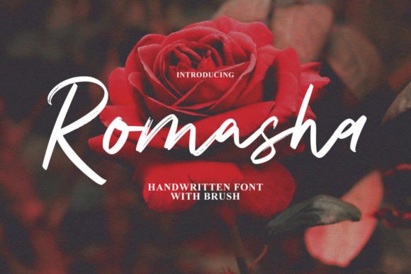 Romasha Font Review: A Sweet Script for Romantic Branding